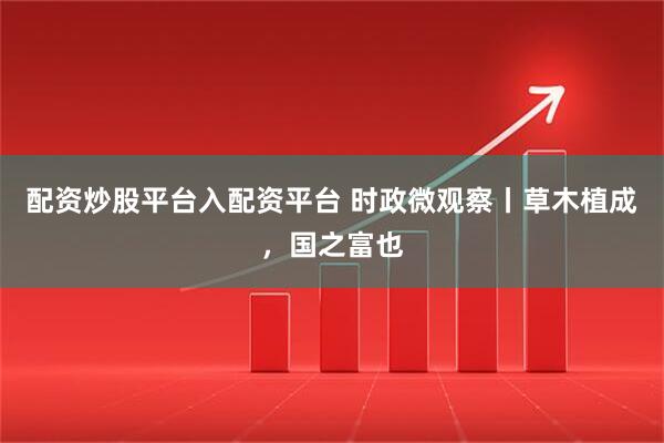 配资炒股平台入配资平台 时政微观察丨草木植成，国之富也