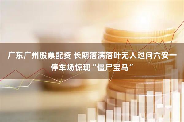 广东广州股票配资 长期落满落叶无人过问六安一停车场惊现“僵尸宝马”